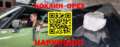 Альфа ПВП Бердск