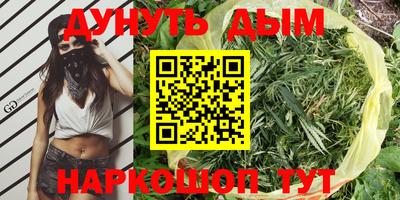 Альфа ПВП Бердск