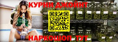 Альфа ПВП Бердск
