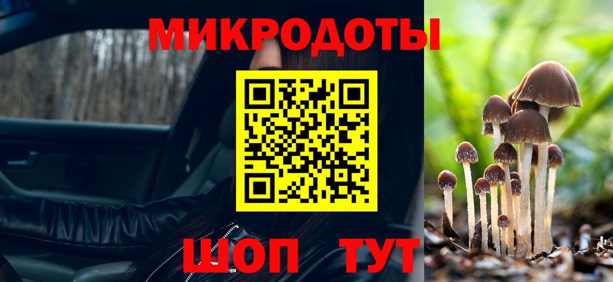 Галлюциногенные грибы Psilocybe Нарьян-Мар